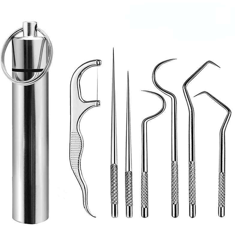 Stainless Steel Dental Flosser Picks Set - Portable Deep Cleaning Floss with Holder - Cyprus