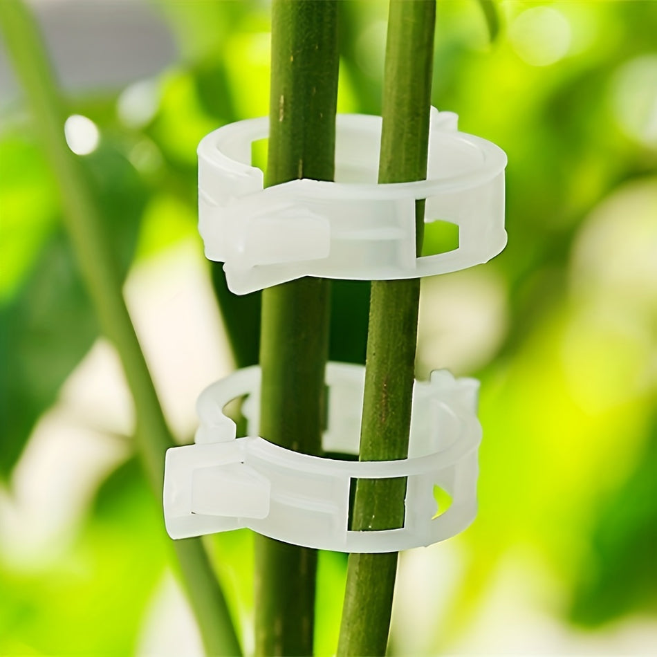 Plant Support Clips for Upright Growth - Cyprus