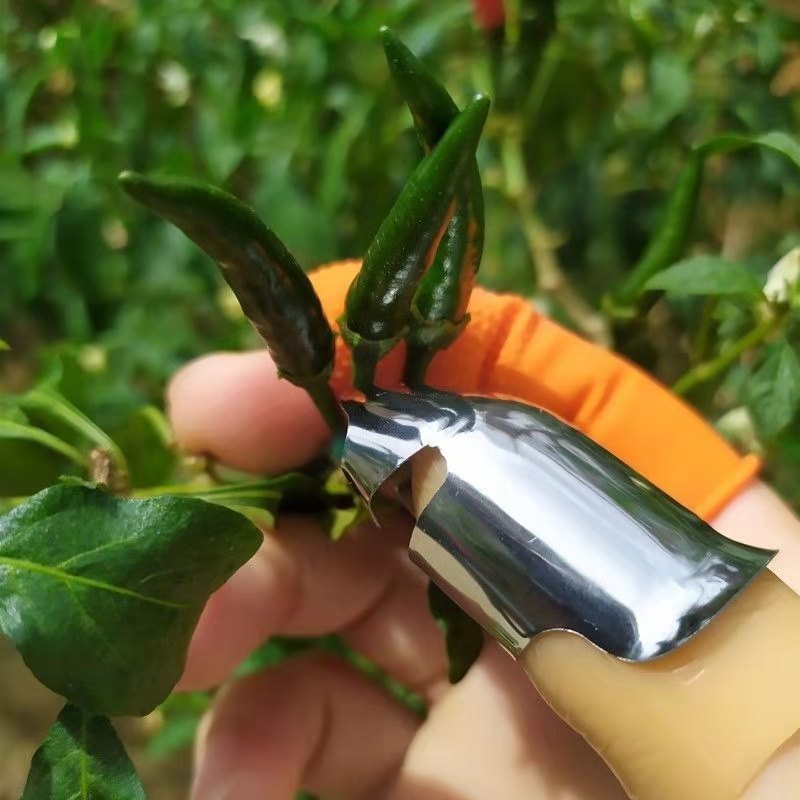 Stainless Steel Thumb Knife Set for Gardening and Kitchen Use - Cyprus