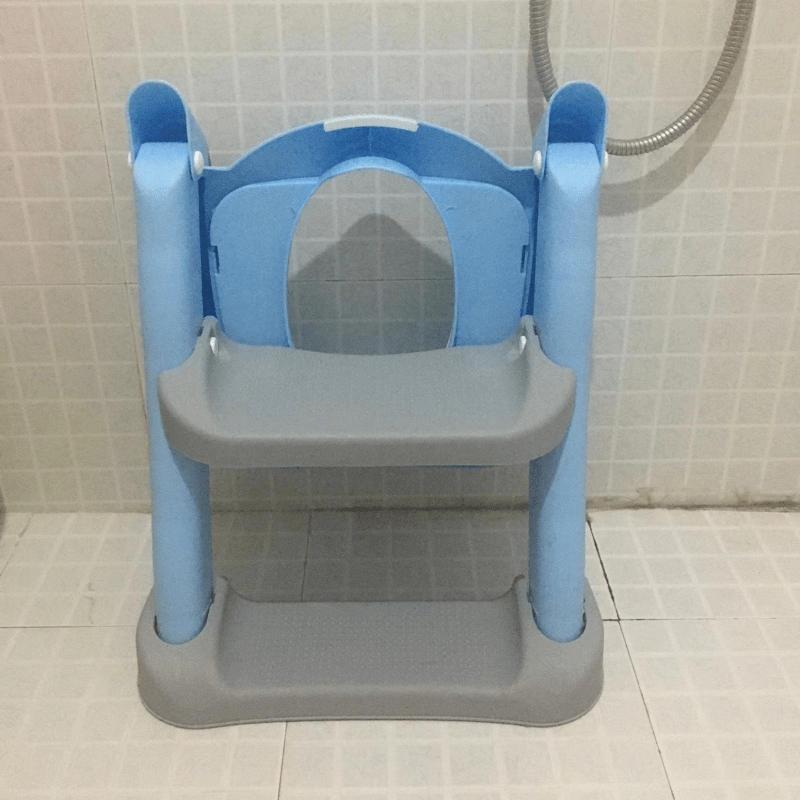 Adjustable & Foldable Potty Training Seat With Step Ladder