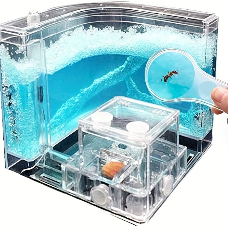 Ant Farm Castle: Interactive 3D Maze for Studying Ant Behaviour and Ecosystems