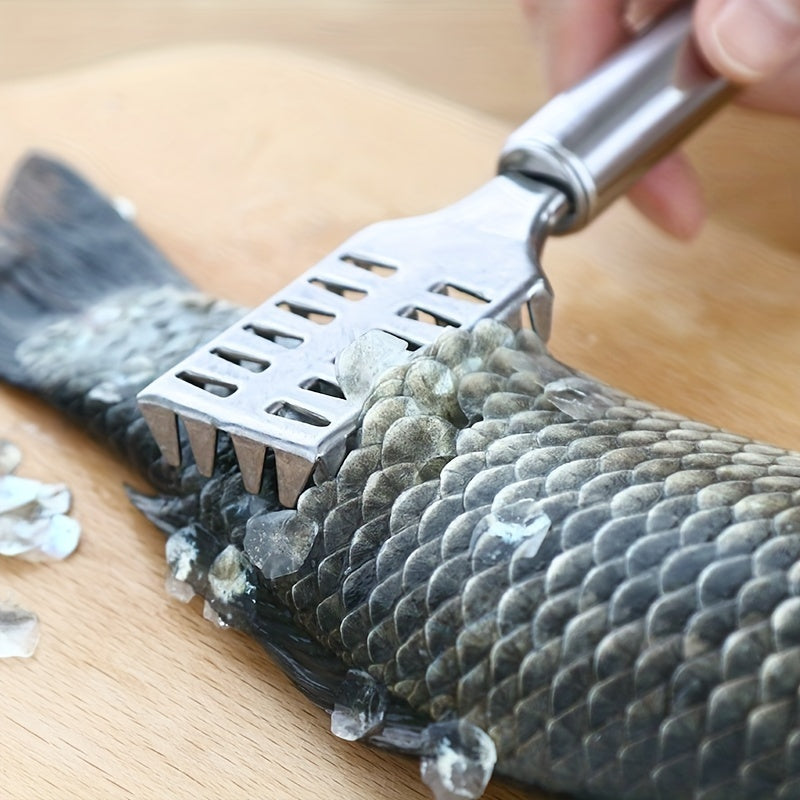 Stainless Steel Fish Scale Remover - Cyprus