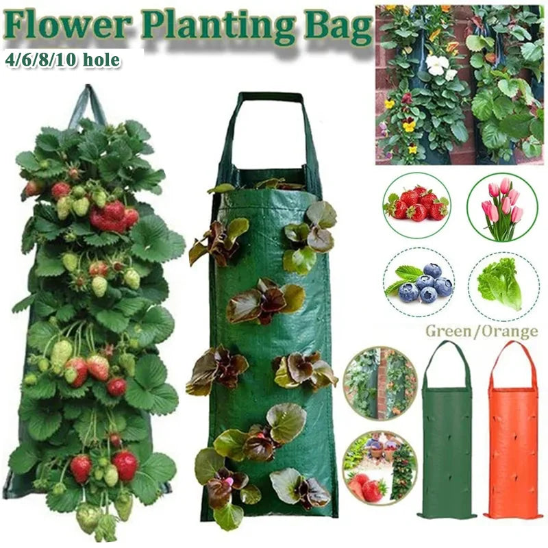 Grow Bags Strawberry Plant Planter Pot Potato for Veg Herbs Flower Planting Bag Wall Hanging Vertical Planting Bags Decoration