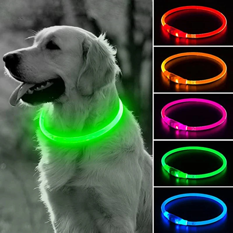 Luminous LED Dog Collar with USB Rechargeable Light