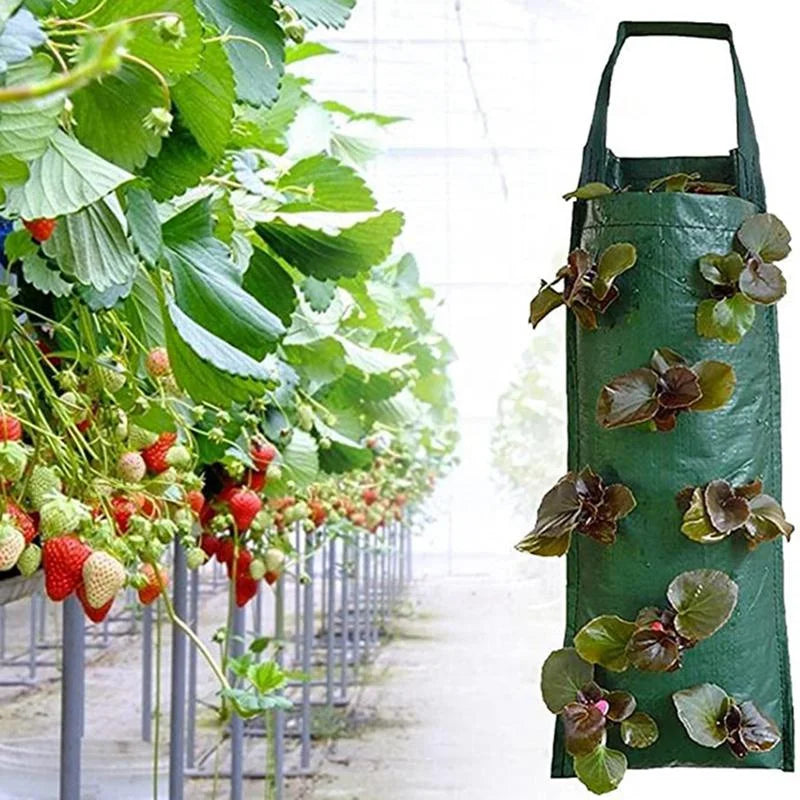 Grow Bags Strawberry Plant Planter Pot Potato for Veg Herbs Flower Planting Bag Wall Hanging Vertical Planting Bags Decoration