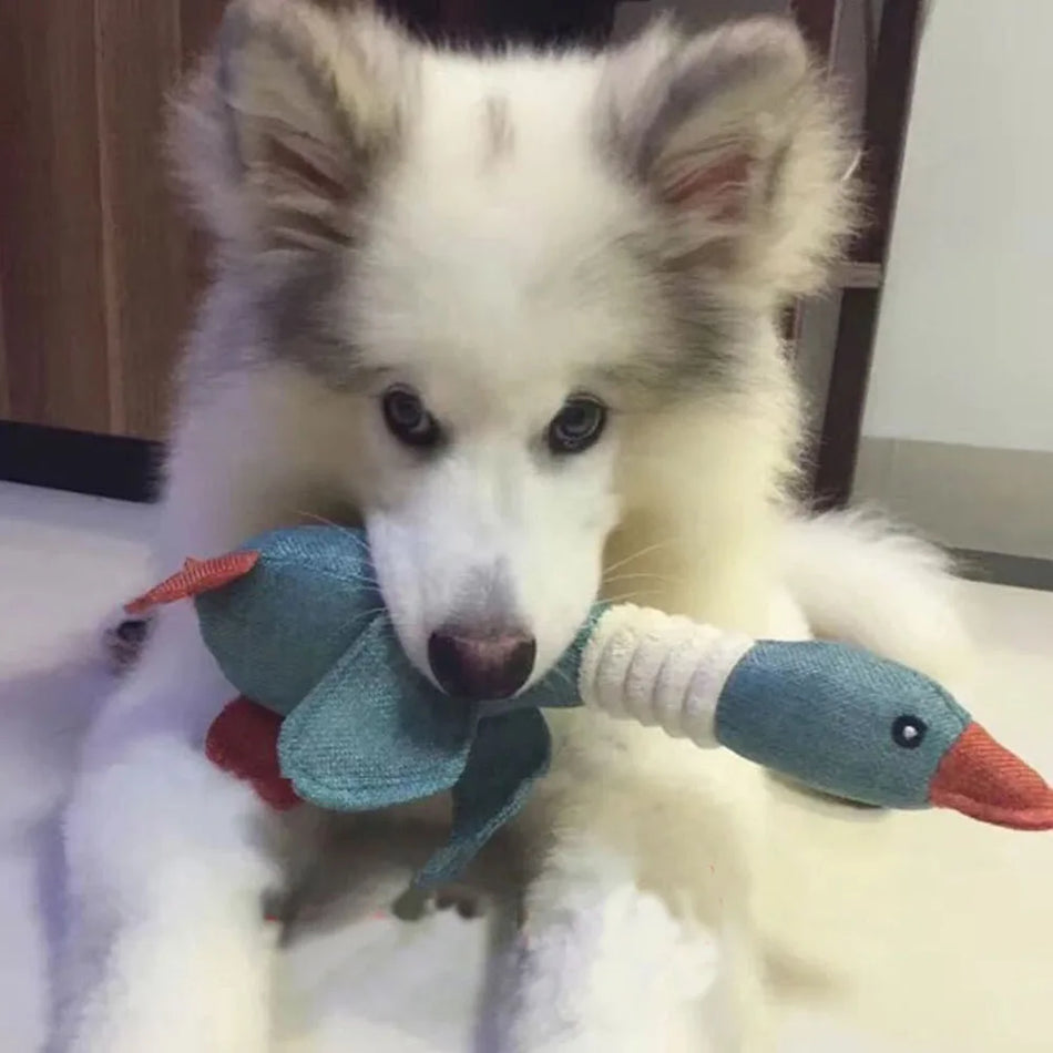 Pet Mallard Ördek Köpek Oyuncak Agresif Chewers için Köpek Squeaky Vahşi Kaz Bulma Bulmacası Eğitim Oyuncakları Sevimli Yumuşak Köpek Çiğneme Oyuncak Squeaker