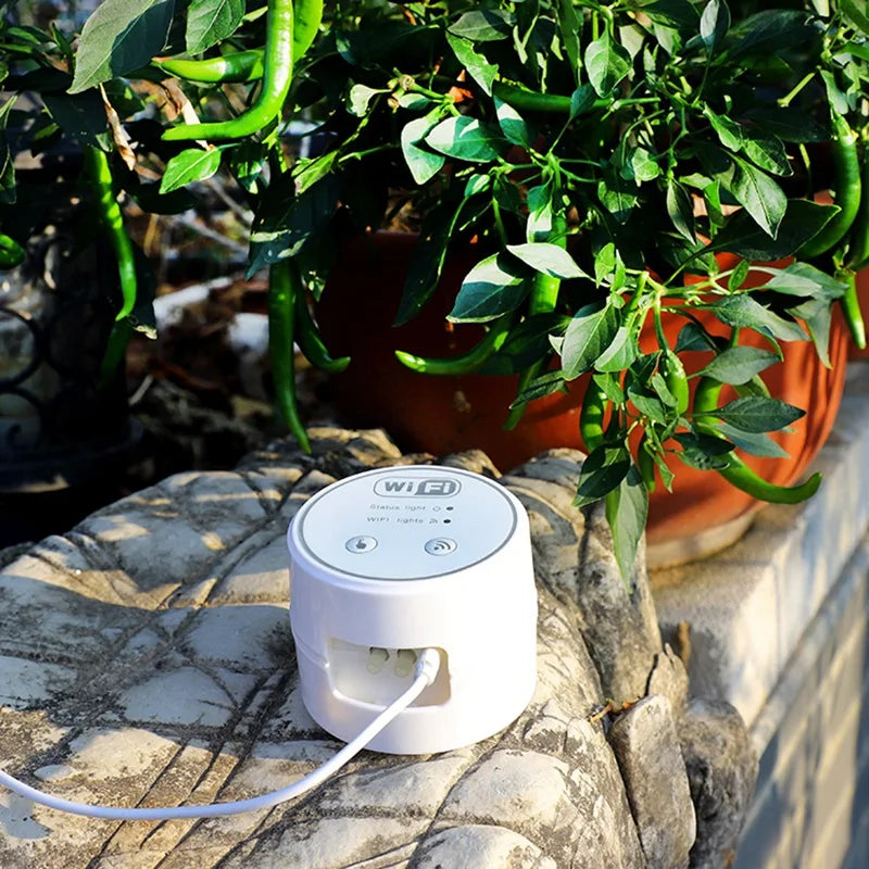 Smart Wi -Fi Garden Plant System 🌿