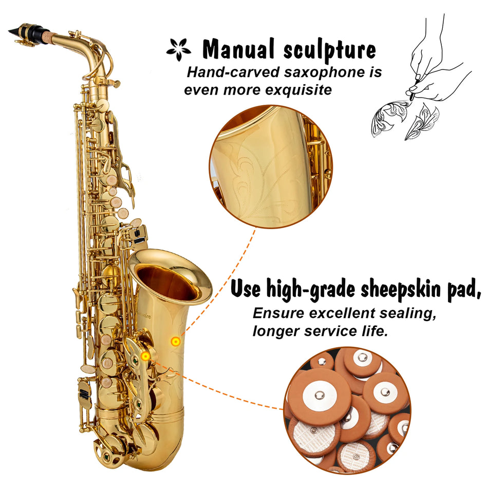 Rowetter EB Alto Saxophone: Ορείχαλκο χρυσό χρυσό E Flat Sax με θήκη και αξεσουάρ