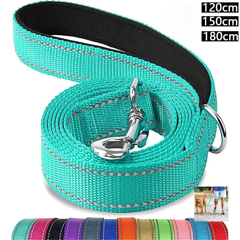 Durable Night Reflective Pet Leash and Harness for Dogs