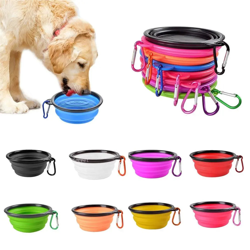 Collapsible Silicone Dog Bowl with Carabiner for Travel and Camping