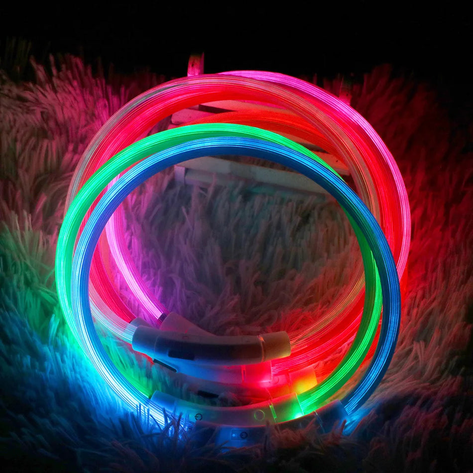 Luminous LED Dog Collar with USB Rechargeable Light