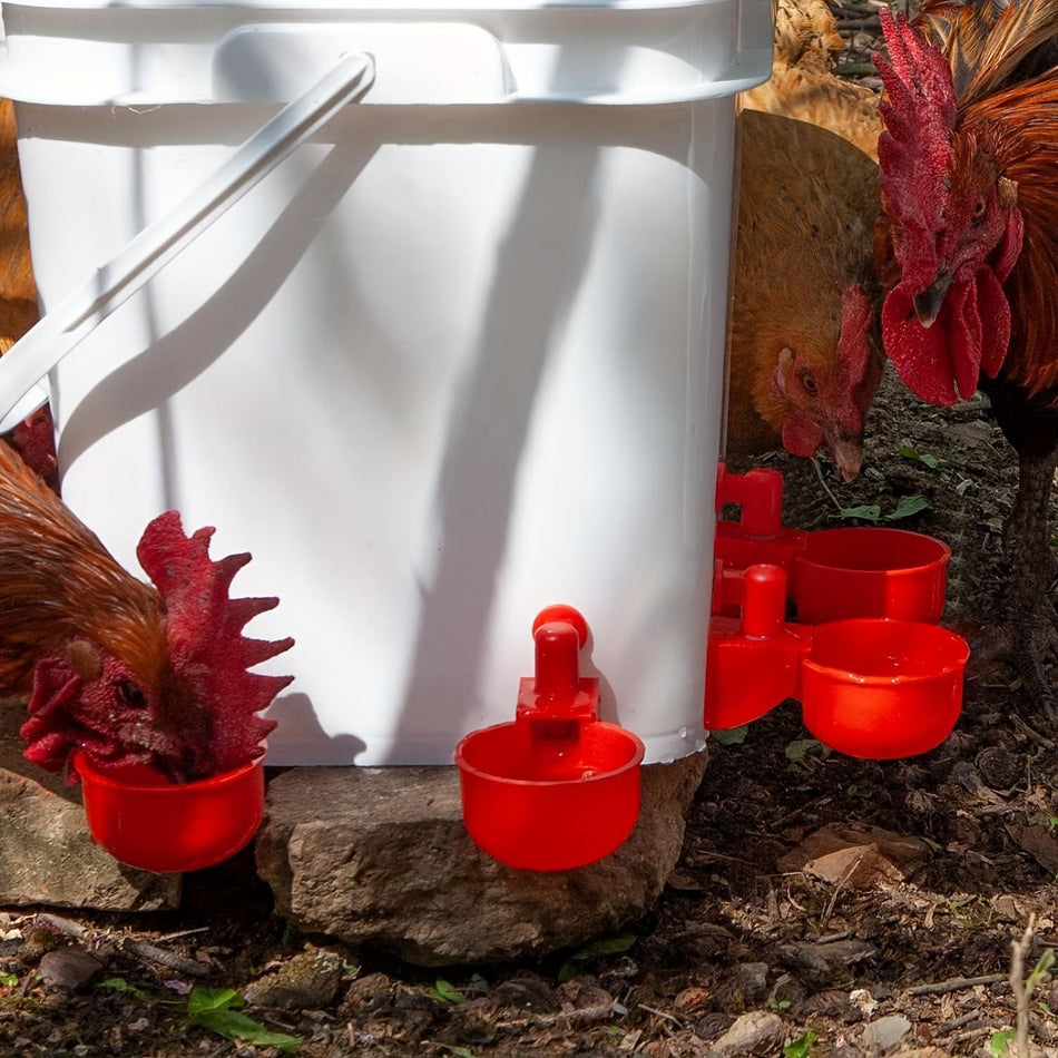 Automatic Chicken Feeder & Waterer Kit with No-Waste Design