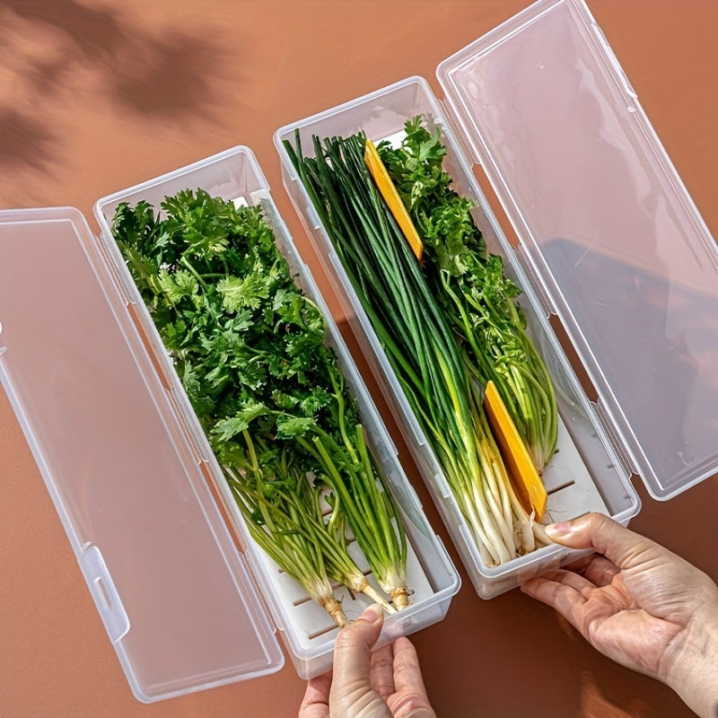 Clear Plastic Multi-Purpose Vegetable Storage Box with Drainage